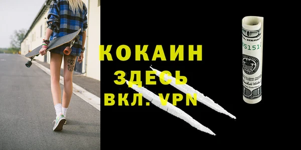 шишки Мурманск
