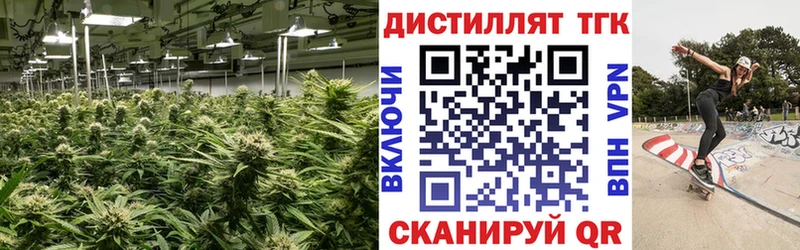 магазин    Великий Новгород  ТГК гашишное масло 