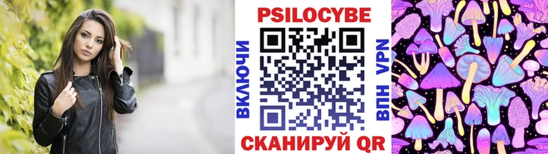 как найти   Великий Новгород  Псилоцибиновые грибы MAGIC MUSHROOMS 