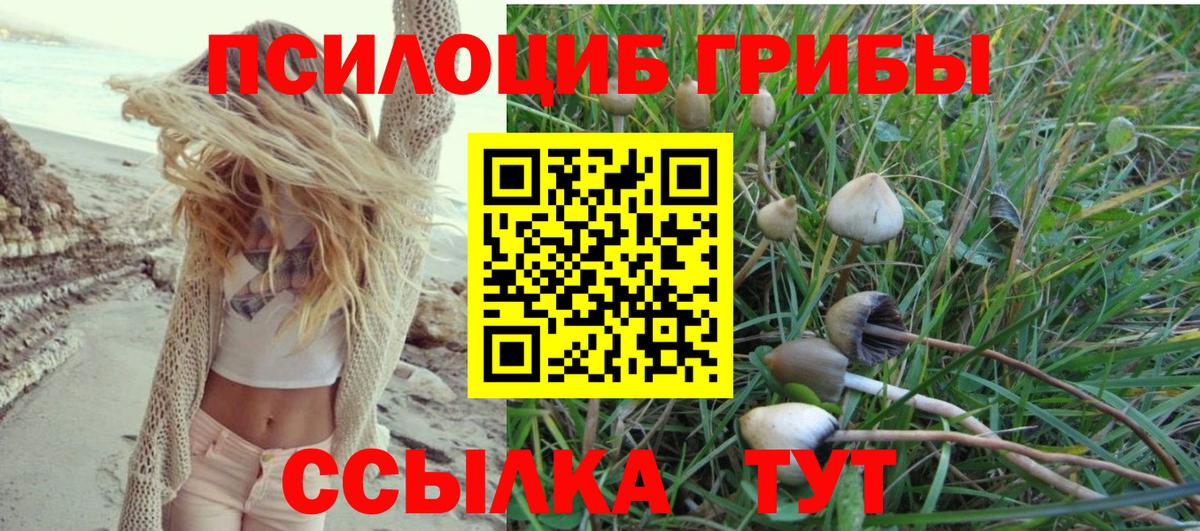 купить   Вход с VPN  Великий Новгород  Галлюциногенные грибы Cubensis  Галлюциногенные грибы Psilocybine cubensis 