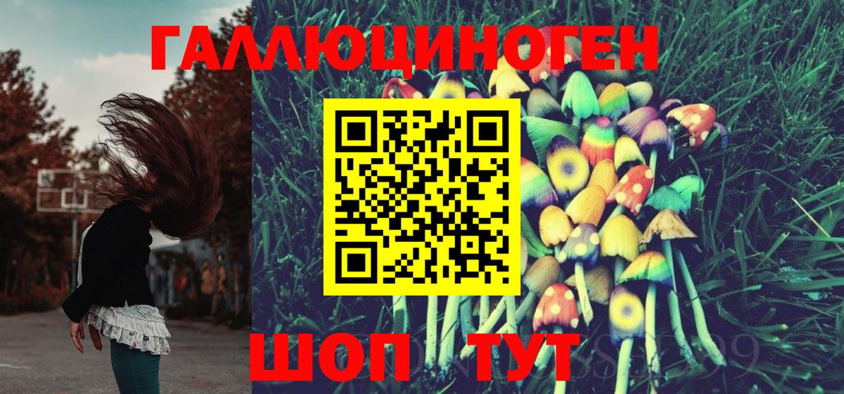Галлюциногенные грибы MAGIC MUSHROOMS Великий Новгород