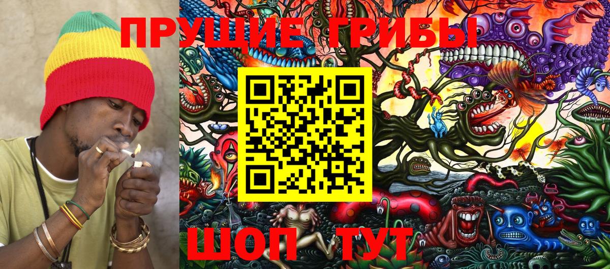 где купить наркоту  Великий Новгород  Псилоцибиновые грибы GOLDEN TEACHER 