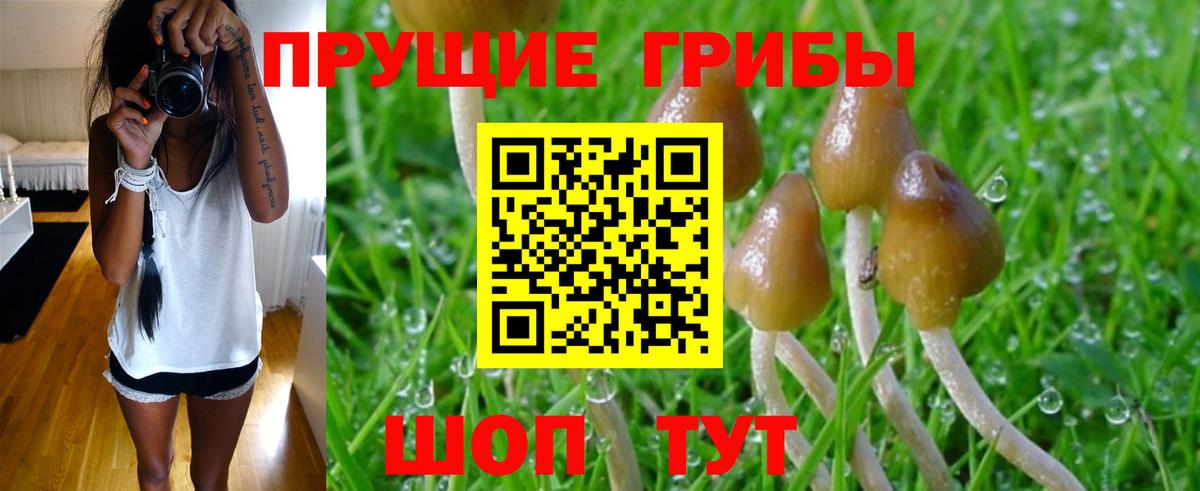 Псилоцибиновые грибы Magic Shrooms Великий Новгород